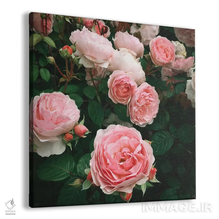 تابلو رز تیره اثر کاسیا بک - نمای پرسپکتیو محصول