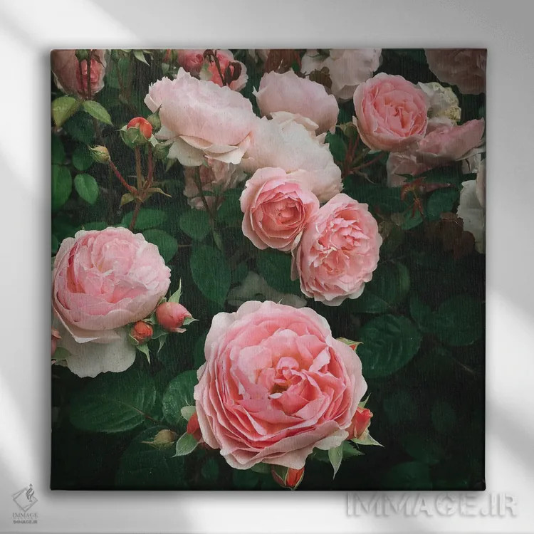 تابلو رز تیره اثر کاسیا بک - نمای روبهرو روی دیوار
