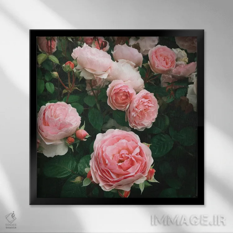 تابلو رز تیره اثر کاسیا بک - نمای قابدار مشکی