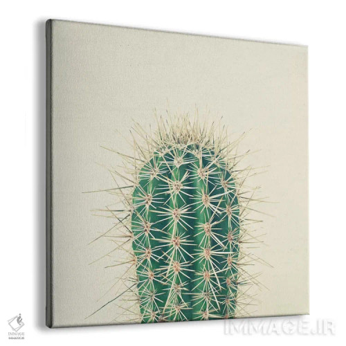 تابلو کاکتوس اثر کاسیا بک - نمای پرسپکتیو محصول