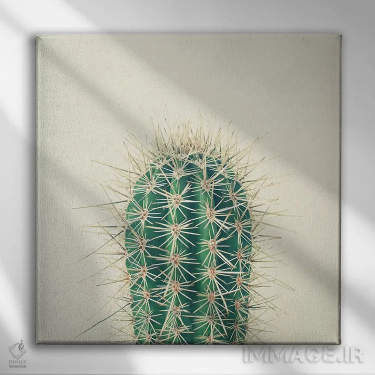 تابلو کاکتوس اثر کاسیا بک - نمای روبهرو روی دیوار