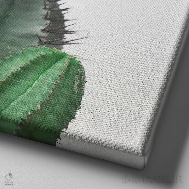 تابلو کاکتوس بشکهای آفریقایی اثر کاسیا بک - نمای نزدیک بافت بوم