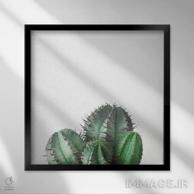 تابلو کاکتوس بشکهای آفریقایی اثر کاسیا بک - نمای قابدار مشکی