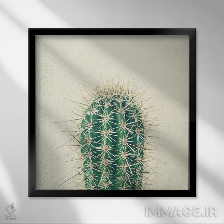 تابلو کاکتوس اثر کاسیا بک - نمای قابدار مشکی