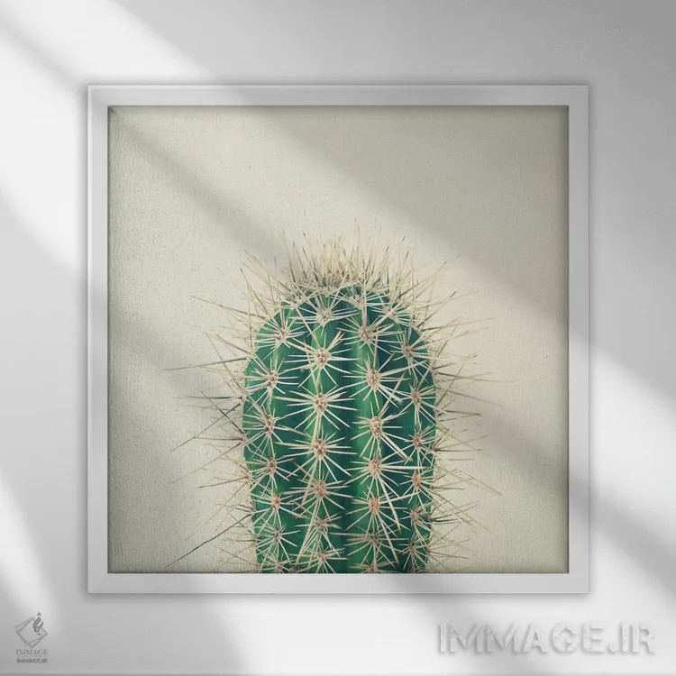 تابلو کاکتوس اثر کاسیا بک - نمای قابدار سفید