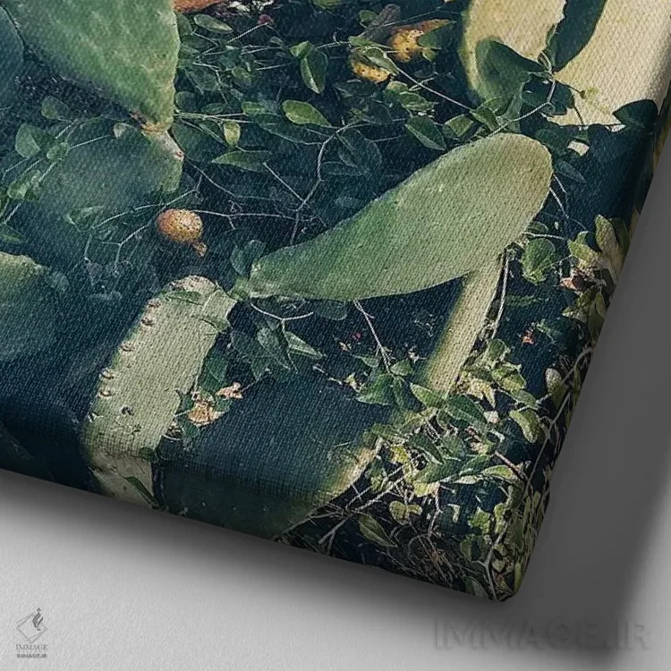 تابلو باغ کاکتوس شماره دو اثر کاسیا بک - نمای نزدیک بافت بوم