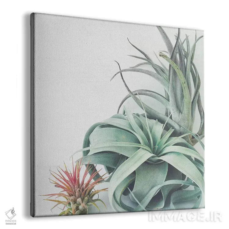 تابلو مجموعه گیاهان هوازی اثر کاسیا بک - نمای پرسپکتیو محصول