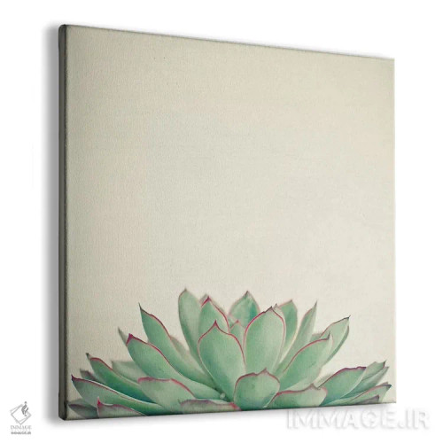 تابلو اچوریا (نوعی گیاه) اثر کاسیا بک - نمای پرسپکتیو محصول