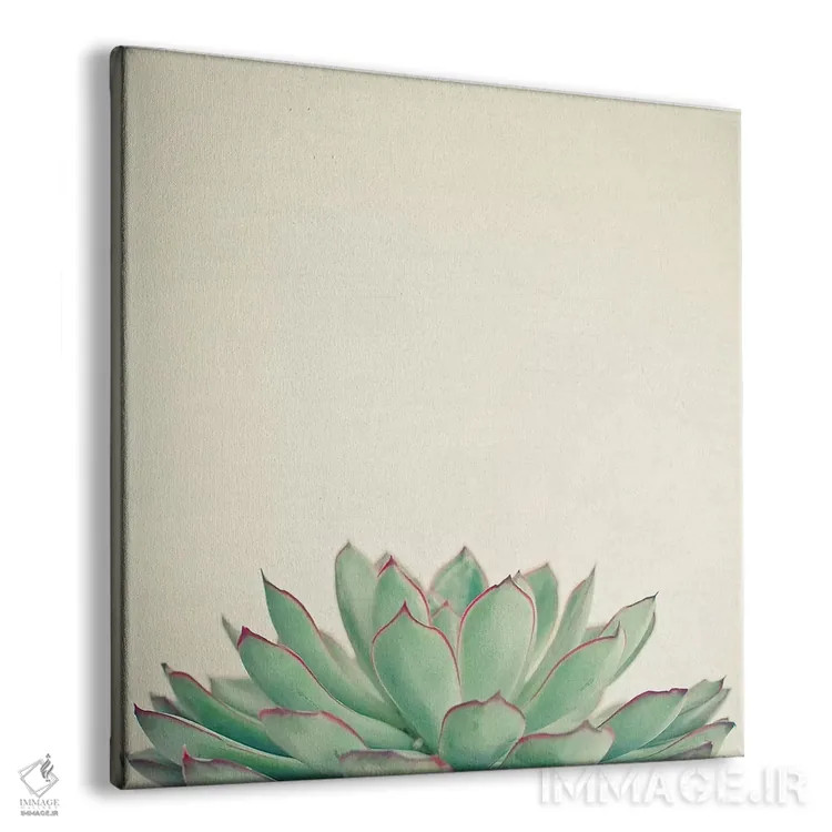 تابلو اچوریا (نوعی گیاه) اثر کاسیا بک - نمای پرسپکتیو محصول