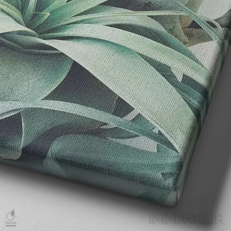 تابلو مجموعه گیاهان هوازی اثر کاسیا بک - نمای نزدیک بافت بوم