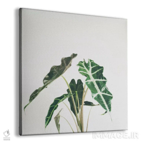 تابلو برگ فیل (گیاه فیلگوش) اثر کاسیا بک - نمای پرسپکتیو محصول