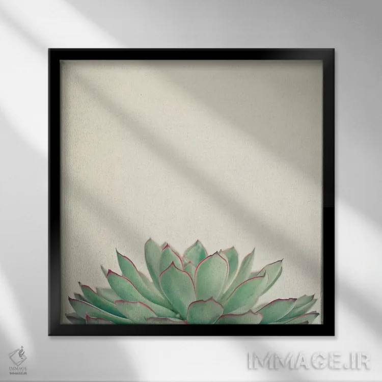 تابلو اچوریا (نوعی گیاه) اثر کاسیا بک - نمای قابدار مشکی