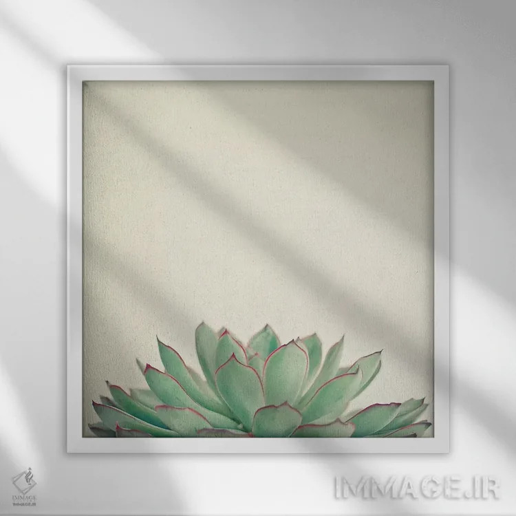 تابلو اچوریا (نوعی گیاه) اثر کاسیا بک - نمای قابدار سفید