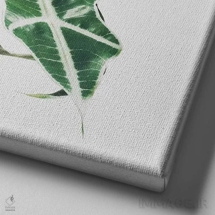تابلو برگ فیل (گیاه فیلگوش) اثر کاسیا بک - نمای نزدیک بافت بوم