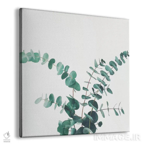 تابلو اوکالیپتوس شماره دو اثر کاسیا بک - نمای پرسپکتیو محصول