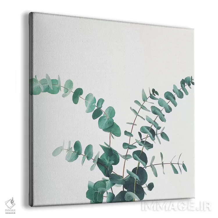 تابلو اوکالیپتوس شماره دو اثر کاسیا بک - نمای پرسپکتیو محصول