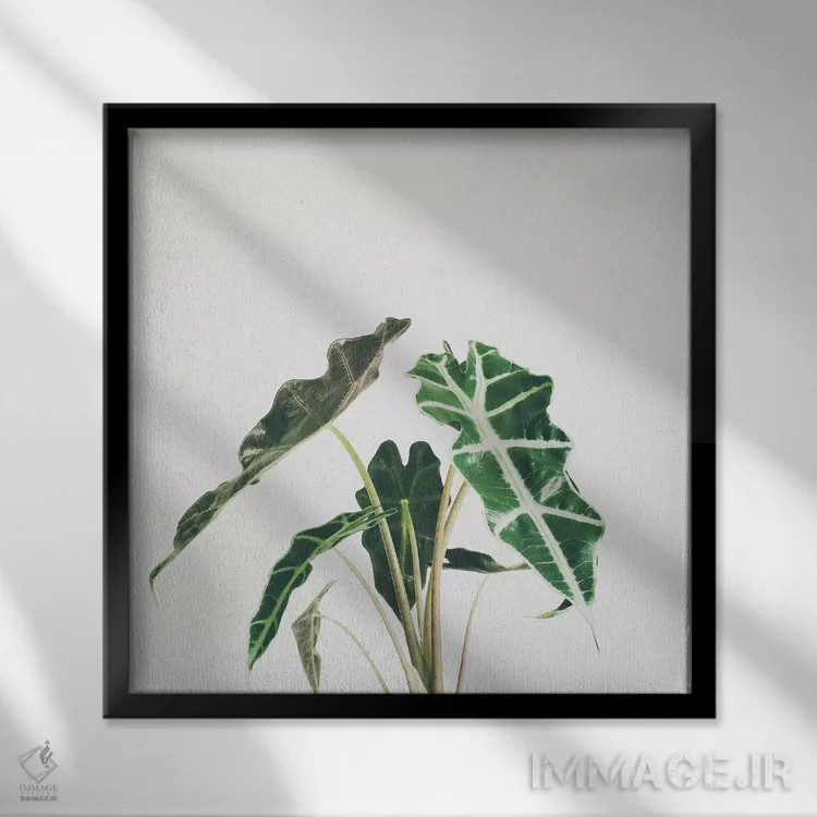 تابلو برگ فیل (گیاه فیلگوش) اثر کاسیا بک - نمای قابدار مشکی