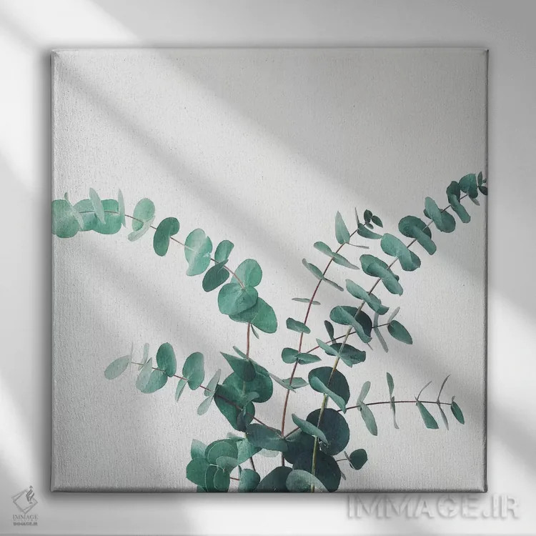 تابلو اوکالیپتوس شماره دو اثر کاسیا بک - نمای روبهرو روی دیوار