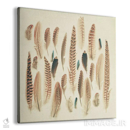 تابلو پرهای یافته شده اثر کاسیا بک - نمای پرسپکتیو محصول