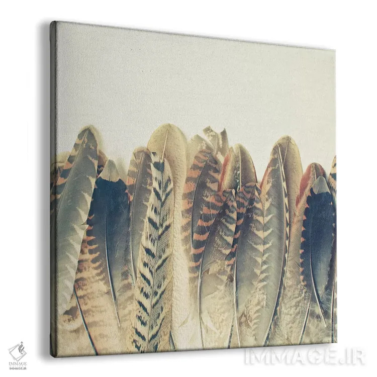 تابلو خیس شدن پر اثر کاسیا بک - نمای پرسپکتیو محصول