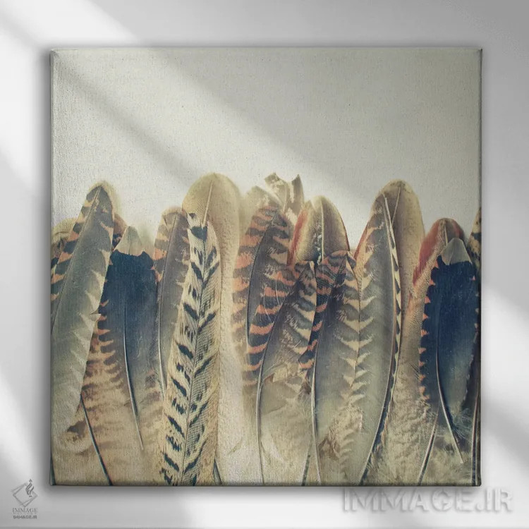 تابلو خیس شدن پر اثر کاسیا بک - نمای روبهرو روی دیوار