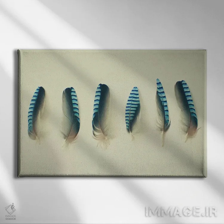 تابلو پرها یک اثر کاسیا بک - نمای روبهرو روی دیوار