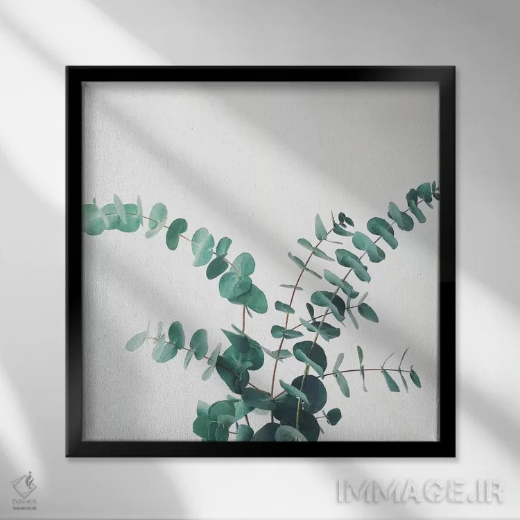 تابلو اوکالیپتوس شماره دو اثر کاسیا بک - نمای قابدار مشکی