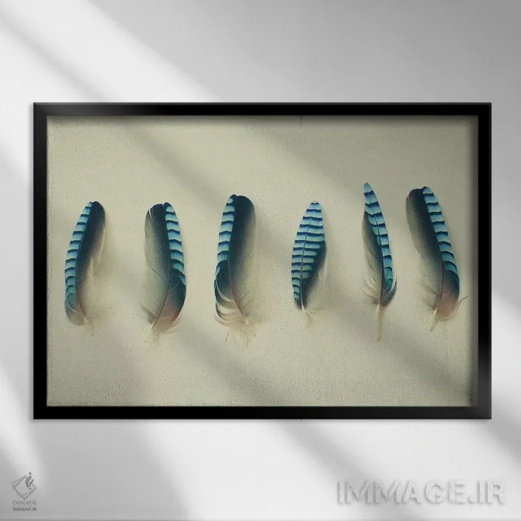 تابلو پرها یک اثر کاسیا بک - نمای قابدار مشکی