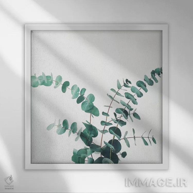 تابلو اوکالیپتوس شماره دو اثر کاسیا بک - نمای قابدار سفید