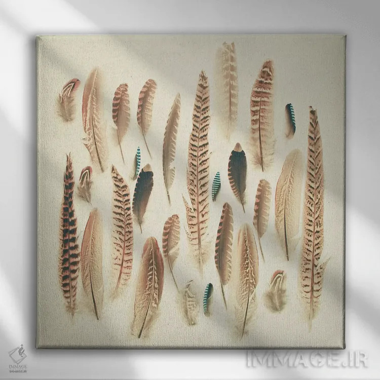 تابلو پرهای یافته شده اثر کاسیا بک - نمای روبهرو روی دیوار