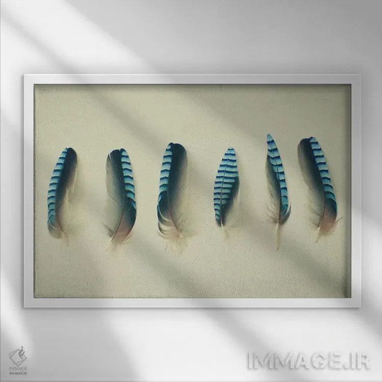 تابلو پرها یک اثر کاسیا بک - نمای قابدار سفید