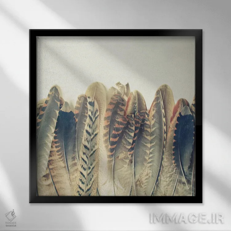 تابلو خیس شدن پر اثر کاسیا بک - نمای قابدار مشکی