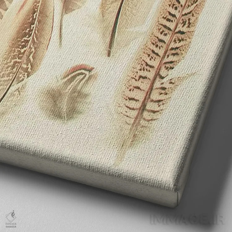 تابلو پرهای یافته شده اثر کاسیا بک - نمای نزدیک بافت بوم