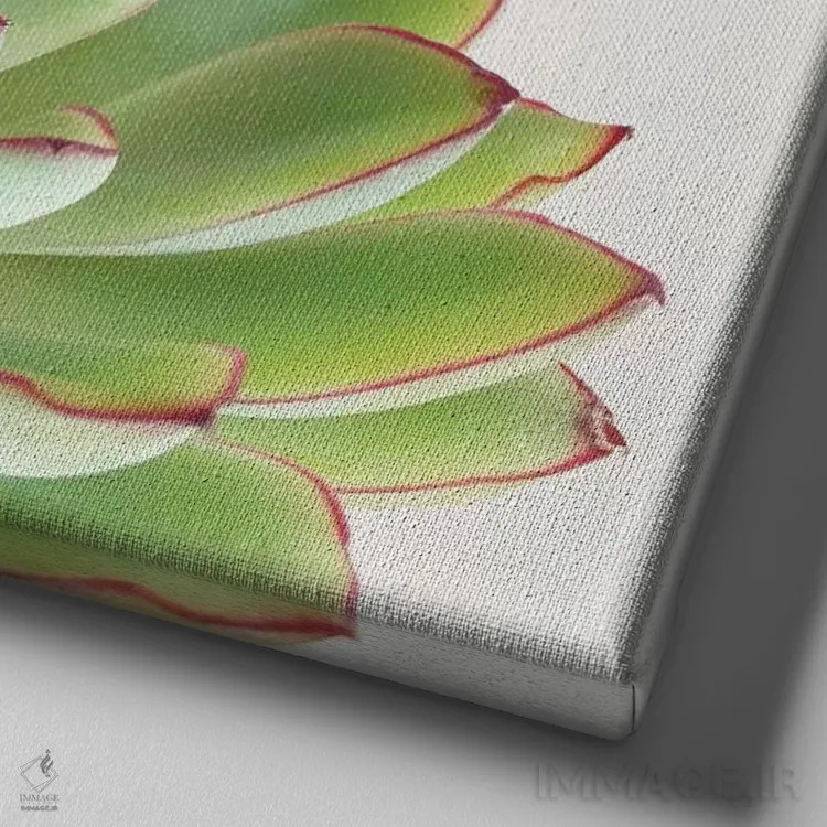 تابلو ساکولنت سبز اثر کاسیا بک - نمای نزدیک بافت بوم