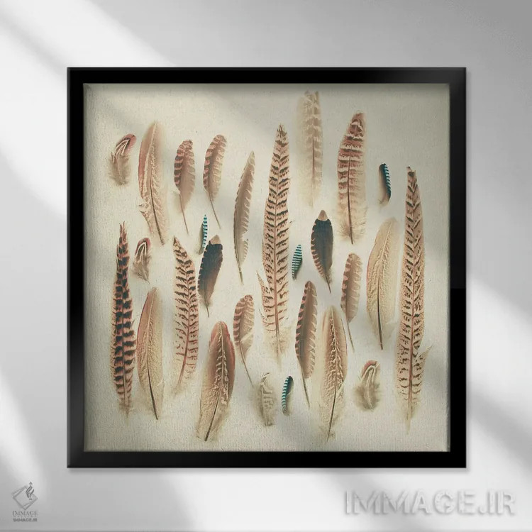 تابلو پرهای یافته شده اثر کاسیا بک - نمای قابدار مشکی