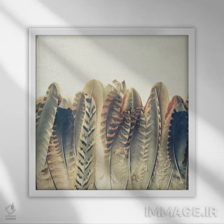 تابلو خیس شدن پر اثر کاسیا بک - نمای قابدار سفید