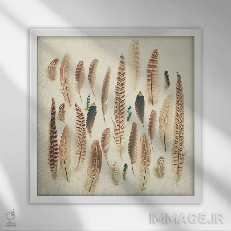 تابلو پرهای یافته شده اثر کاسیا بک - نمای قابدار سفید