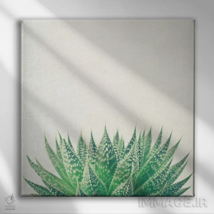 تابلو آلوئه توری (گیاه) اثر کاسیا بک - نمای روبهرو روی دیوار