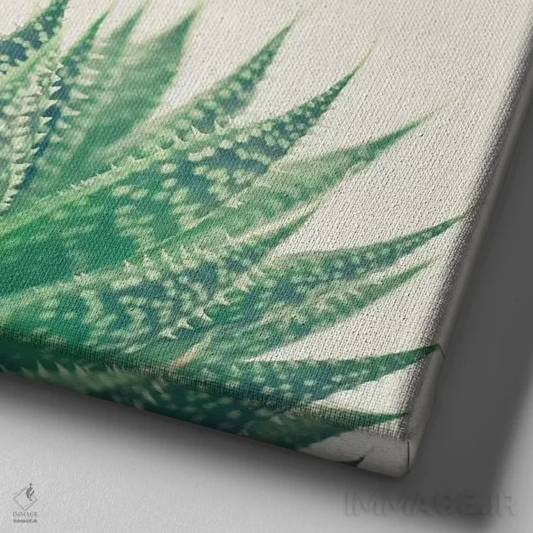 تابلو آلوئه توری (گیاه) اثر کاسیا بک - نمای نزدیک بافت بوم