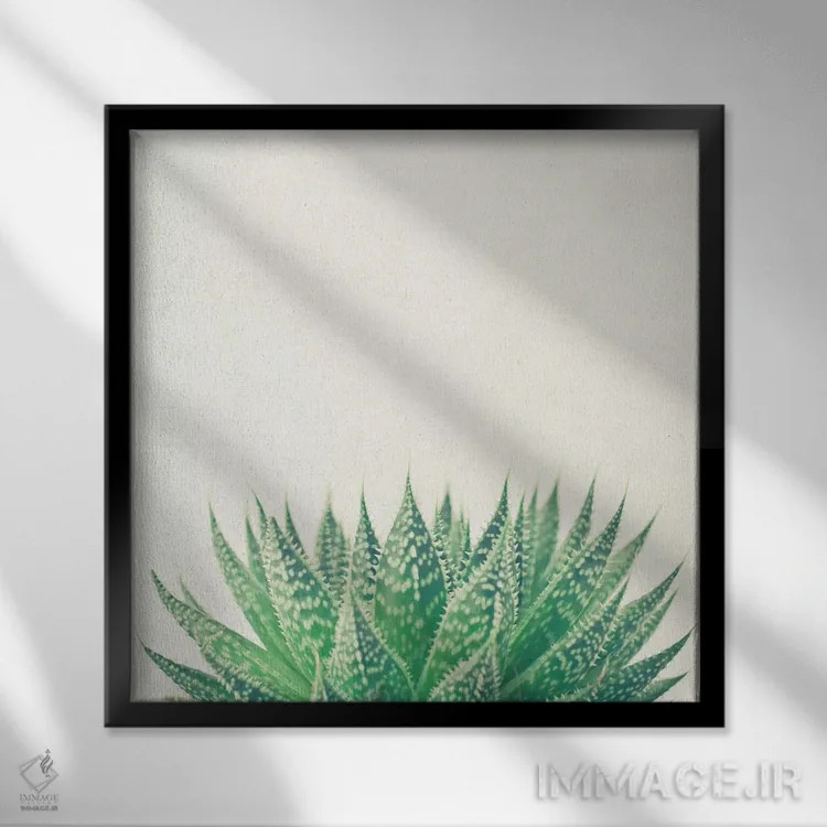 تابلو آلوئه توری (گیاه) اثر کاسیا بک - نمای قابدار مشکی