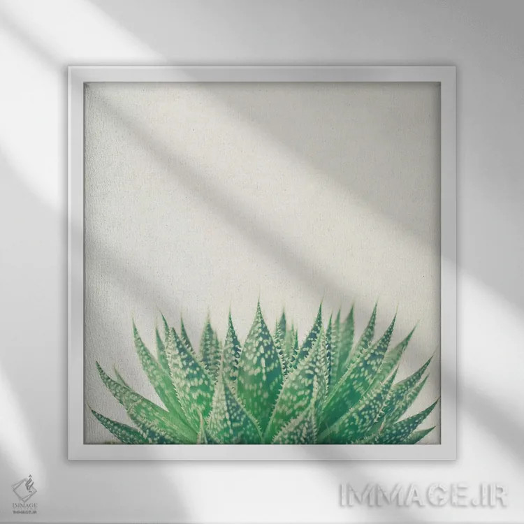 تابلو آلوئه توری (گیاه) اثر کاسیا بک - نمای قابدار سفید