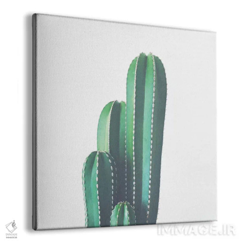 تابلو کاکتوس لوله ارگ اثر کاسیا بک - نمای پرسپکتیو محصول