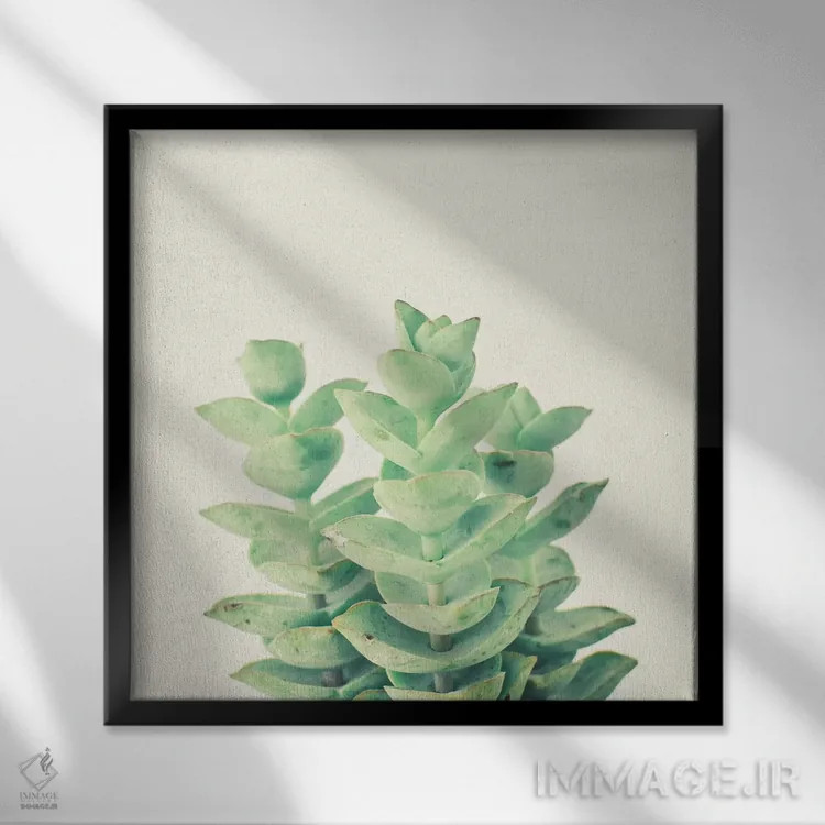 تابلو پیچک گردنبندی اثر کاسیا بک - نمای قابدار مشکی