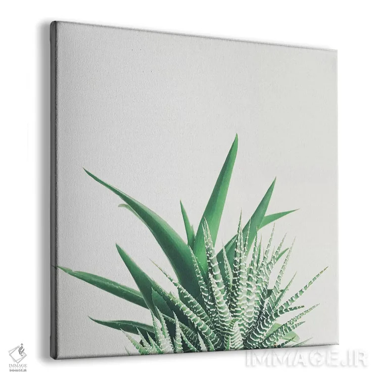 تابلو همپوشانی اثر کاسیا بک - نمای پرسپکتیو محصول