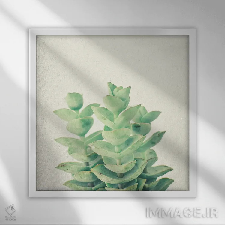 تابلو پیچک گردنبندی اثر کاسیا بک - نمای قابدار سفید