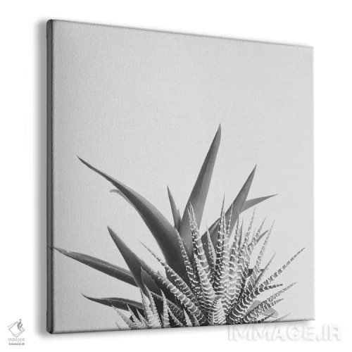 تابلو همپوشانی ۲ اثر کاسیا بک - نمای پرسپکتیو محصول