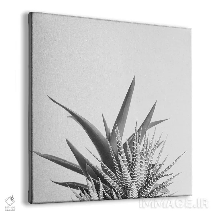 تابلو همپوشانی ۲ اثر کاسیا بک - نمای پرسپکتیو محصول