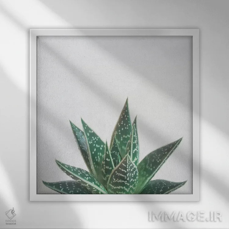 تابلو آلوئه تیکی (گیاه و نماد تیکی) اثر کاسیا بک - نمای قابدار سفید