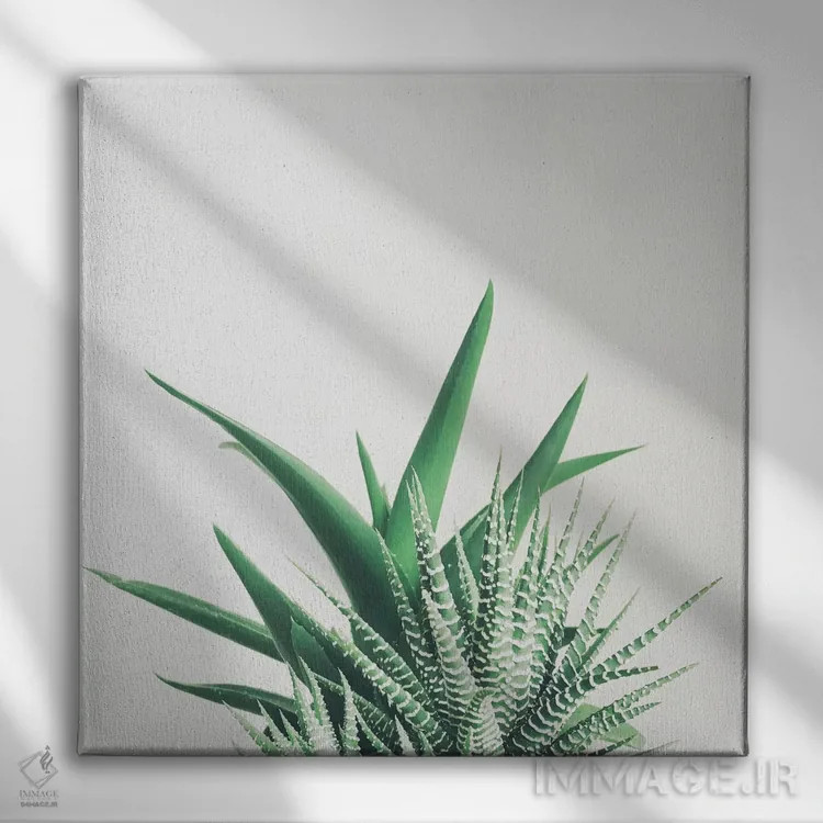 تابلو همپوشانی اثر کاسیا بک - نمای روبهرو روی دیوار