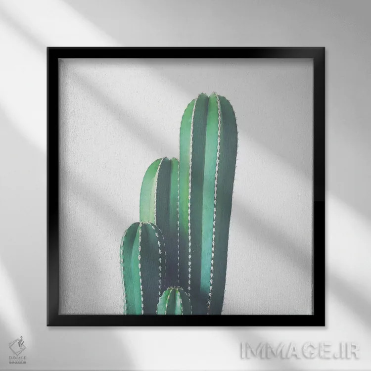 تابلو کاکتوس لوله ارگ اثر کاسیا بک - نمای قابدار مشکی